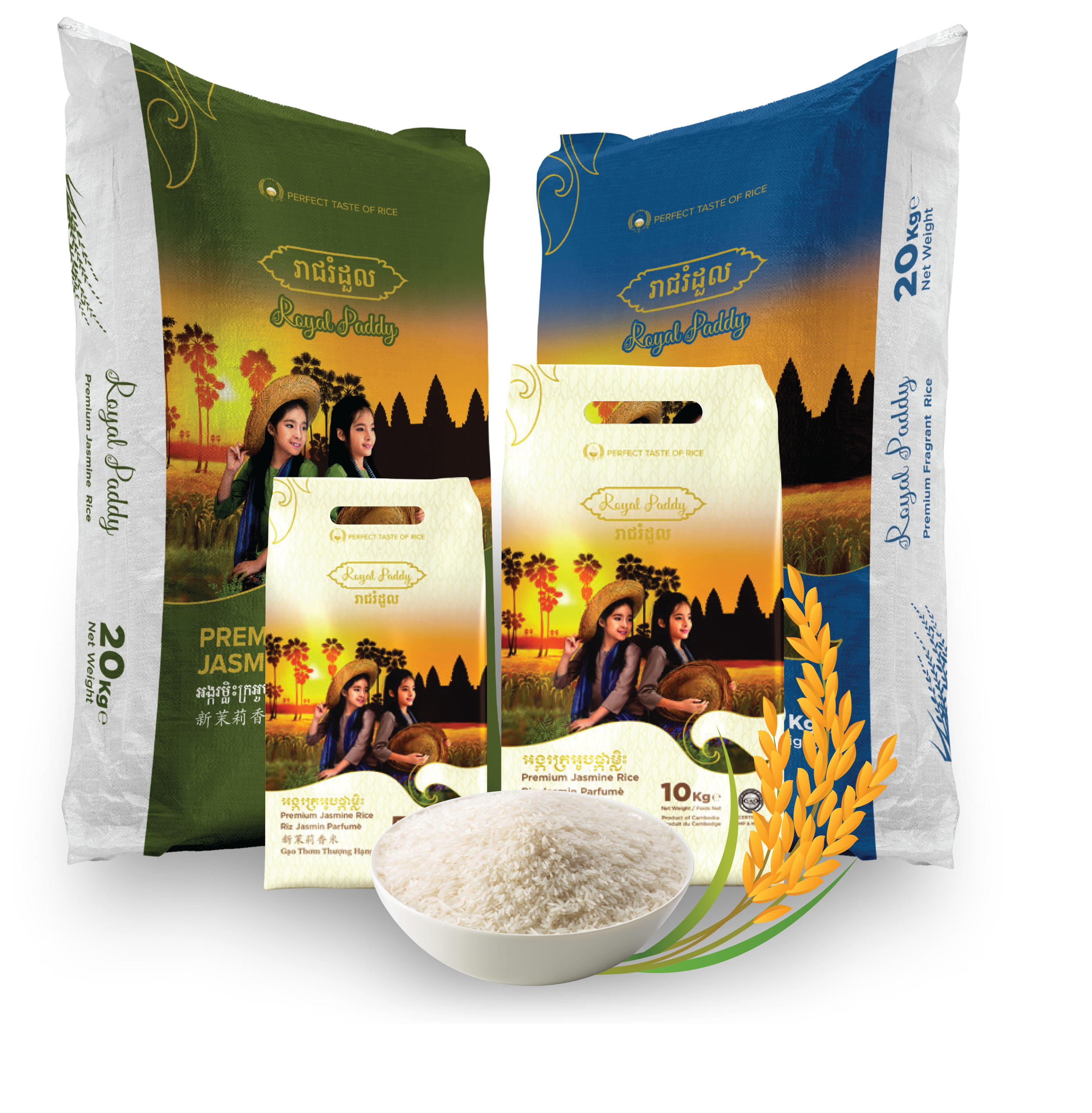 Cambodia_Rice
