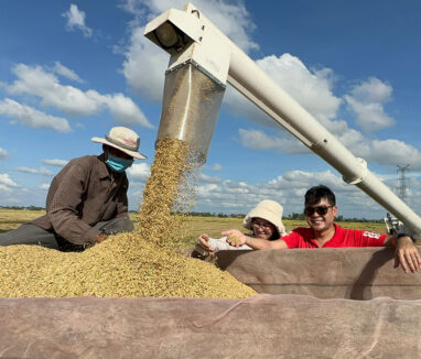 cambodia_rice_about_us_1 (1)