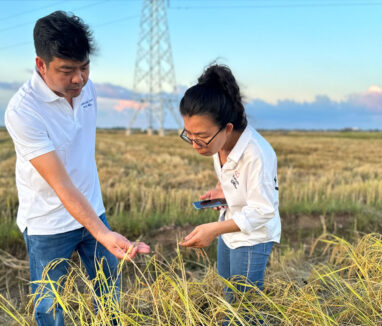 cambodia_rice_about_us_1 (4)