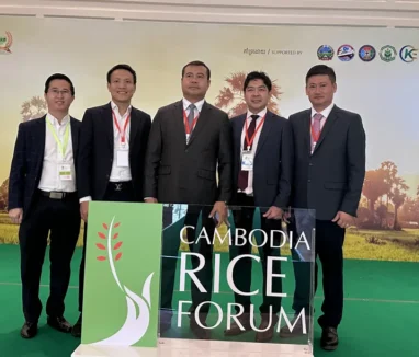 cambodia_rice_why_kampongthom_rice (4)